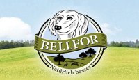 bellfor.info
